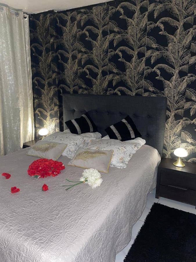 Appartement entier, By Neptune - Appartement Rustique Jacuzzi in Bondy, Seine-Saint-Denis