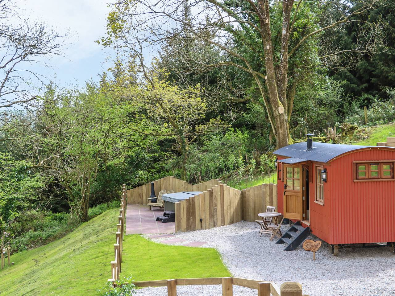 Little Silver Owl in Devon