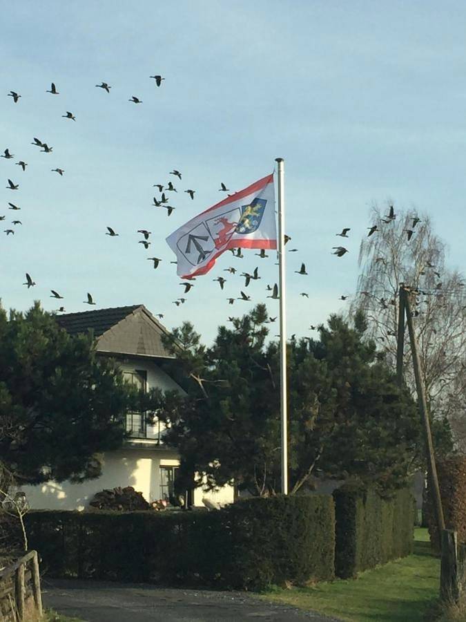 Maison d’hôte pour 3 personnes, avec balcon et vue dans Bas-Rhin - 4