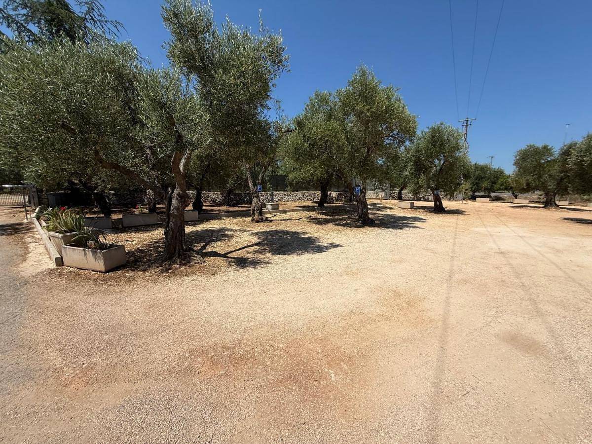 Agricampeggio Dei Nobili in Bitetto, Provincia di Bari