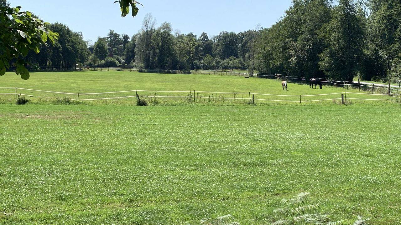 Ganze Ferienwohnung, Ferienwohnung für 4 Personen (50 m²) in Schüttorf in Schüttorf, Landkreis Grafschaft Bentheim