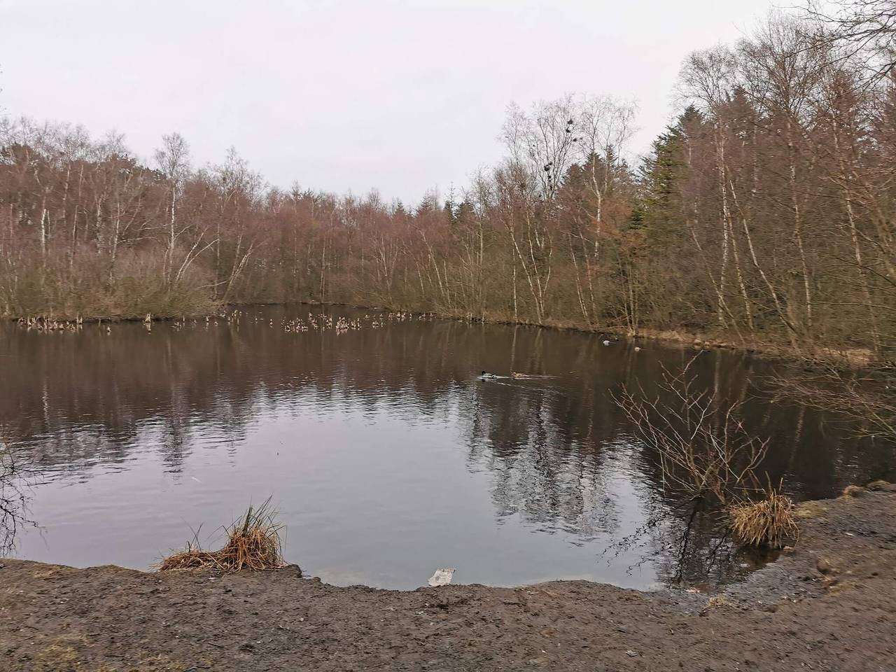 8 Personen Ferienhaus in Ålbæk in Lodskovvad, Ålbæk