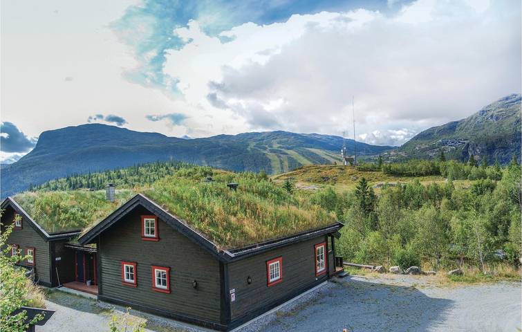 Ferienhaus für 10 Personen, mit Sauna, mit Haustier in Hemsedal - 2
