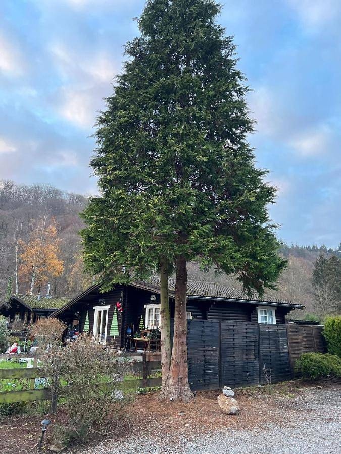 Spacieux chalet à Aywaille in Sougné-Remouchamps, Aywaille