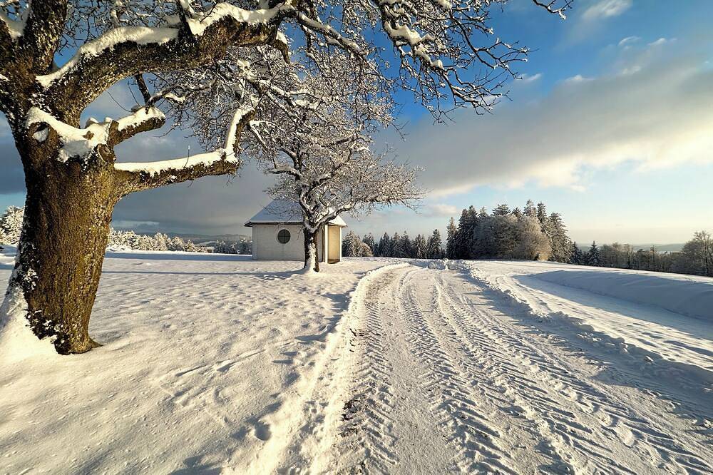 Tiny house on the Austrian border - peace & nature for the whole family!, foto 15