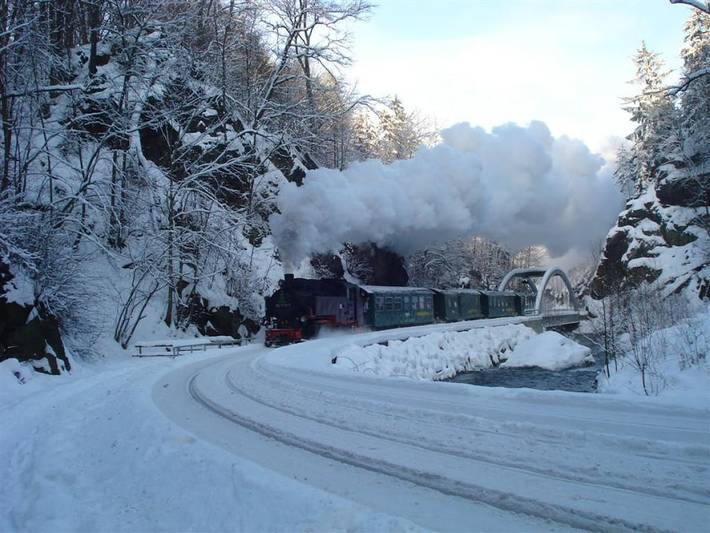 Ferienhaus für 6 Personen, mit Garten, mit Haustier in Dresden umland - 2