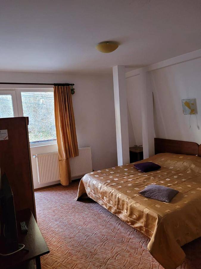 Gîte pour 2 personnes, avec jardin à Sinaia - 2