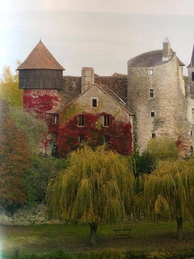 Chateau d'Ingrandes in Ingrandes, Région de Le Blanc