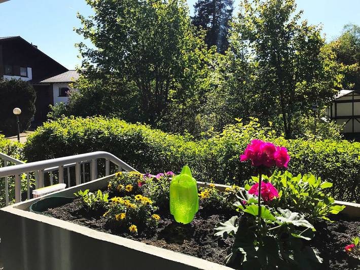 Ferienhaus für 2 Personen, mit Garten, mit Haustier in Goslar - 3