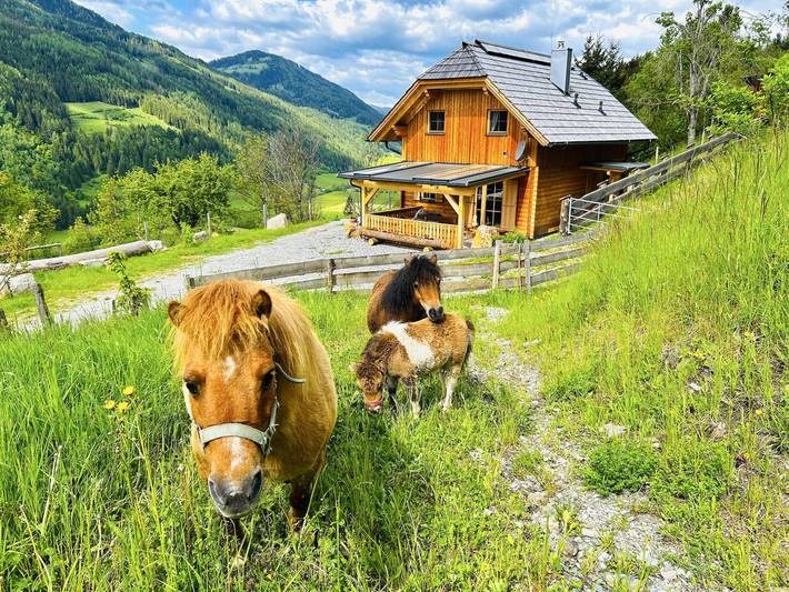 Ferienhaus für 6 Personen, mit Ausblick und Garten