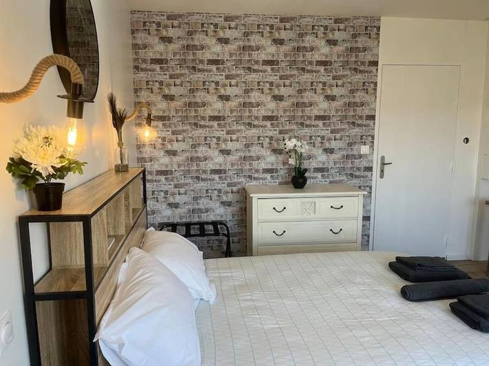 Gîte pour 2 personnes, avec jacuzzi, animaux acceptés à Chasse-sur-Rhône - 3