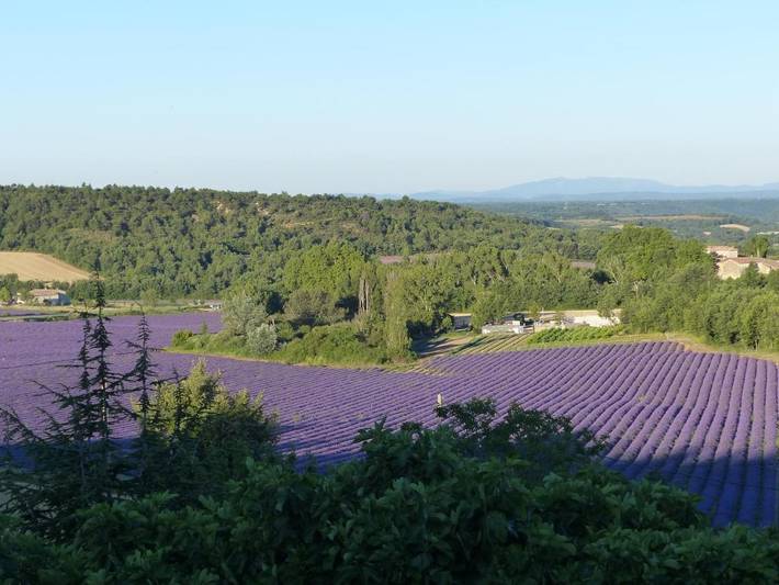Chambre d’hôte pour 3 personnes, avec vue ainsi que jardin et terrasse à Moustiers-Sainte-Marie - 2