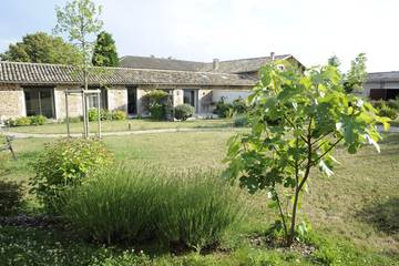 Gîte pour 8 personnes, avec terrasse et jardin à Villié-Morgon