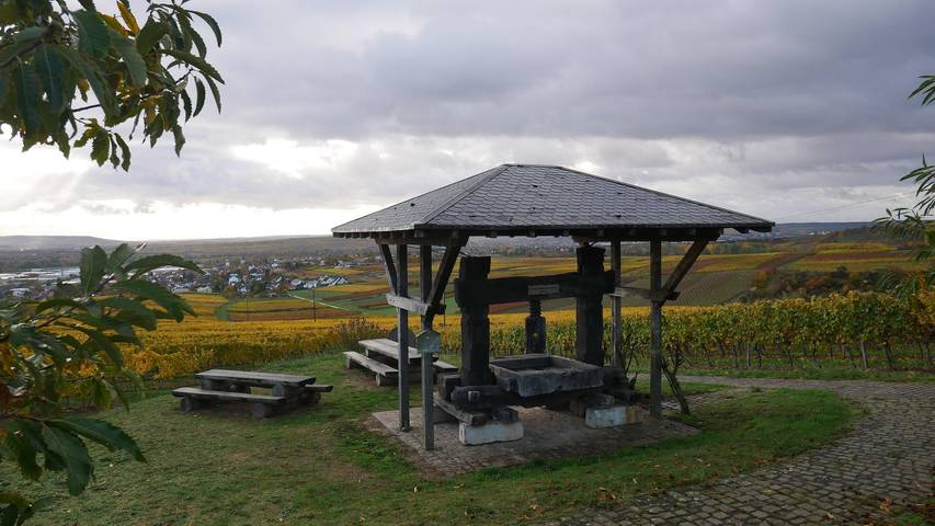 Ferienwohnung für 4 Personen, mit Terrasse und Garten in Rheinhessen - 3