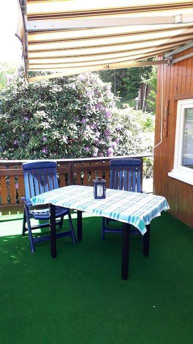 Bungalow blühende Oase in Sebnitz, Elbsandsteingebirge