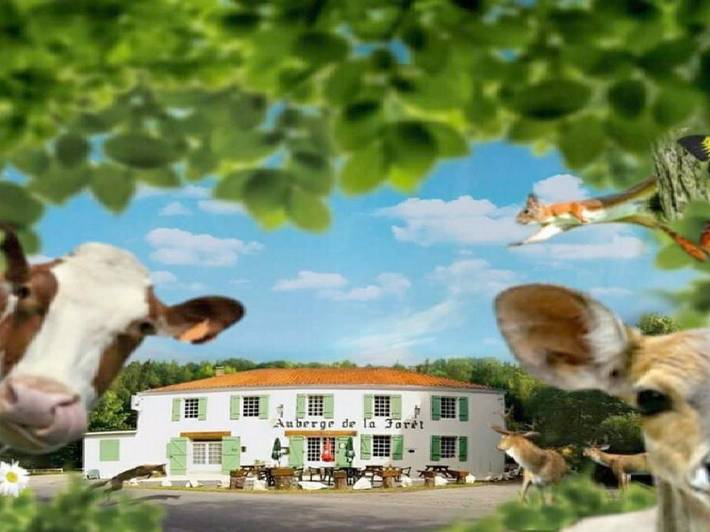 Location de vacances pour 4 personnes, avec Terrasse ainsi que Jardin et Vue à Mervent