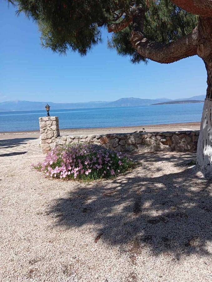 Appartement entier, Studio (2 Adults) in Argolide