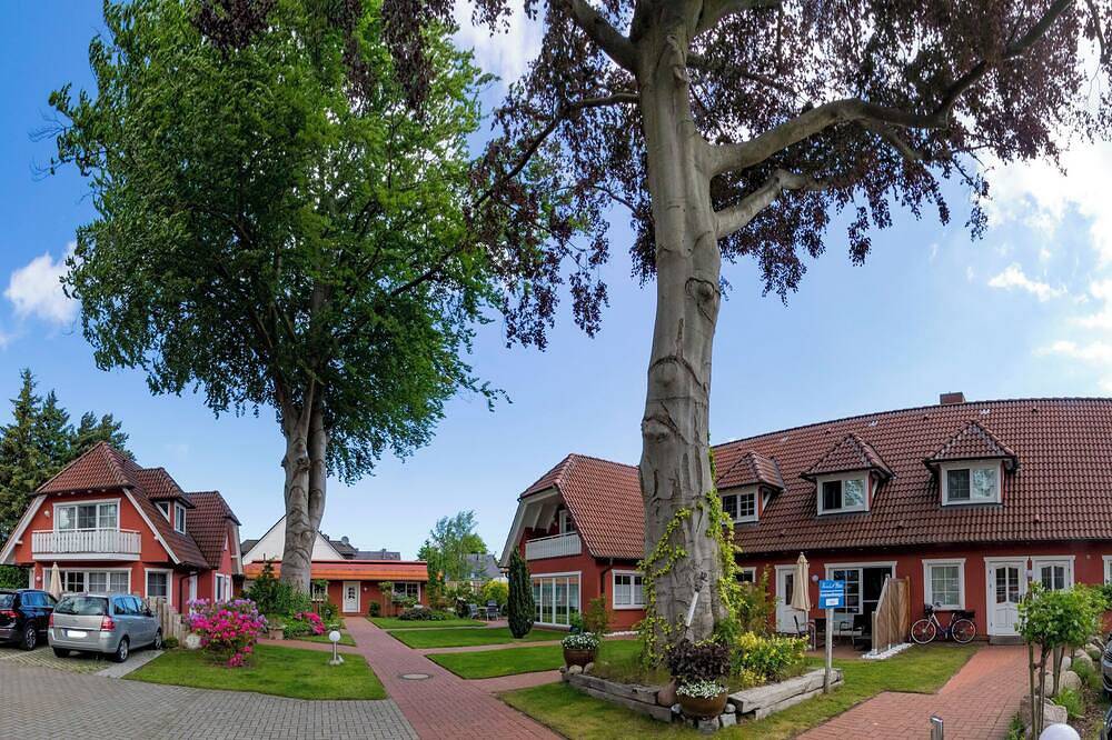 Bungalow für Sie allein, mit großer Terrasse in ruhiger Lage, Wlan. in Zingst, Fischland - Darß - Zingst