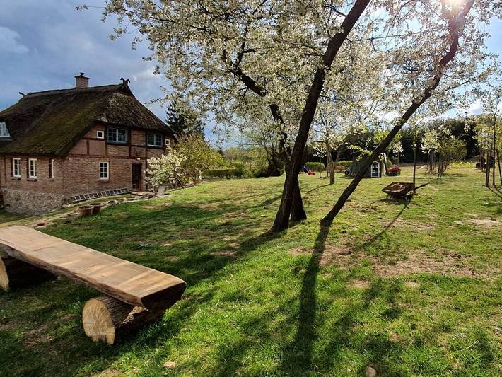Ferienhaus für 4 Personen, mit Garten, mit Haustier in Zirkow - 2