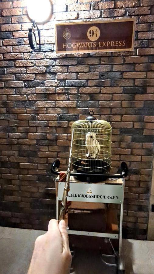 Gîte pour 5 personnes à Haubourdin - 3