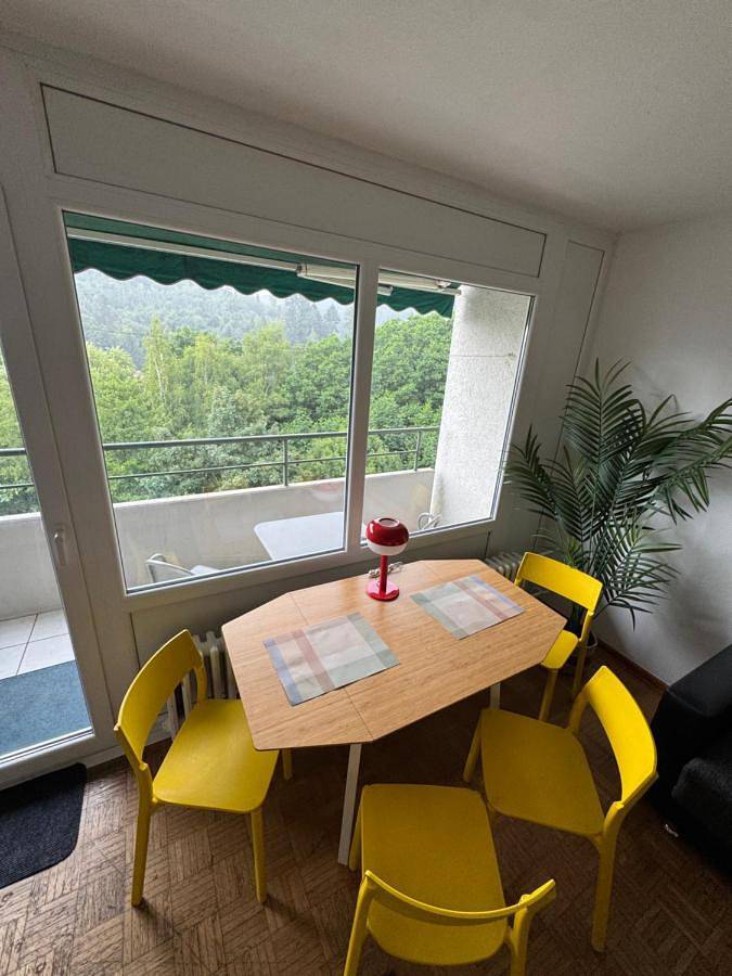 Ferienwohnung für 4 Personen, mit Ausblick und Balkon, mit Haustier in Lahr - 2