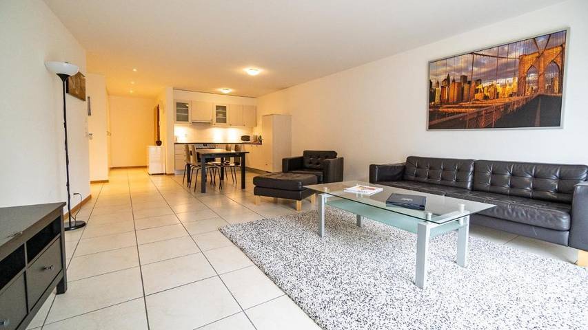 Location de vacances pour 4 personnes, avec vue et terrasse, animaux acceptés à Bulle - 2