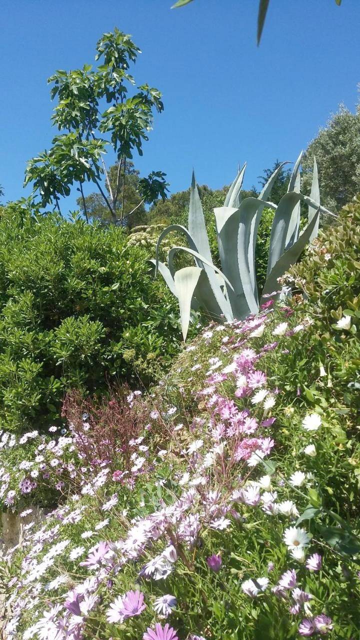 Villa Le Clos Fleuri in Narbonne, Région de Narbonne