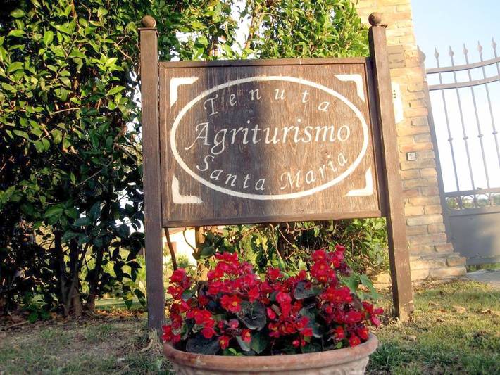 Gîte pour 2 personnes, avec piscine ainsi que jardin et jacuzzi à Notaresco - 3