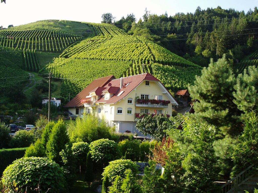 Ferienhof Mayer - Fewo 2 in Lautenbach, Mittlerer Schwarzwald
