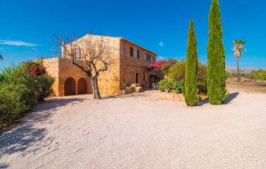 Finca in Petra (Mallorca), Mallorca Inselmitte für 8 