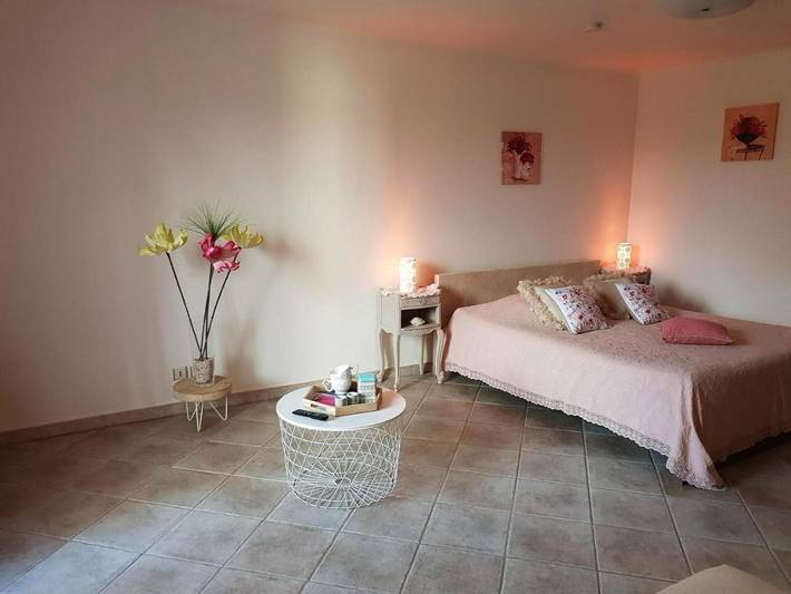 Chambre d’hôte pour 2 personnes, avec jacuzzi ainsi que jardin et piscine à Aix-en-Provence - 4