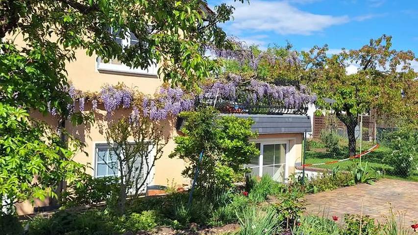 Ferienwohnung für 2 Personen, mit Garten in Senftenberger See