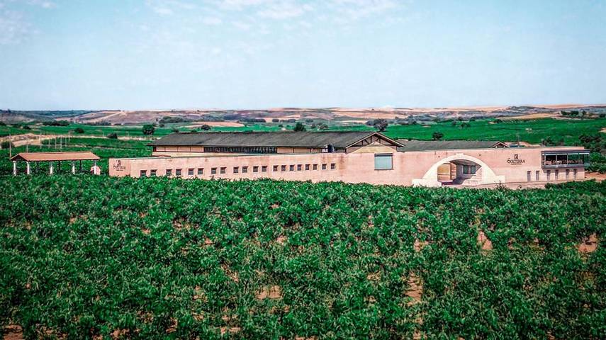 Apartamento de vacaciones para 2 personas, con vistas y jardín en Ribera del Duero
