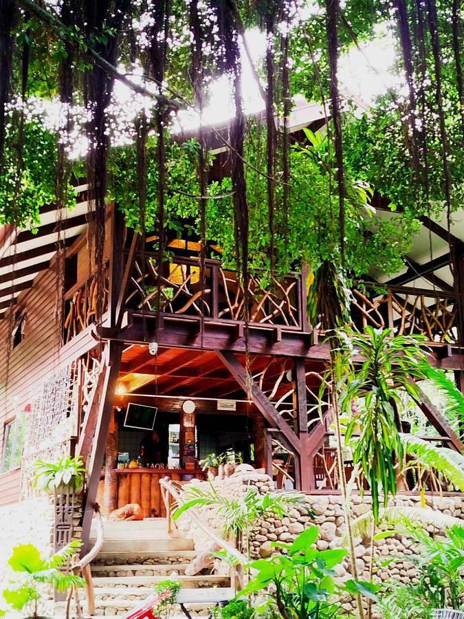 Gîte pour 4 personnes, avec jardin et vue dans Mo'orea - 2