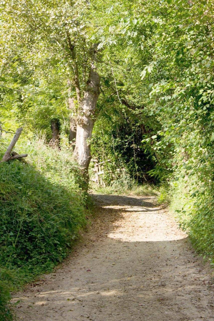 Hotel Doña Gaudiosa in Lena, Cordillera Cantábrica
