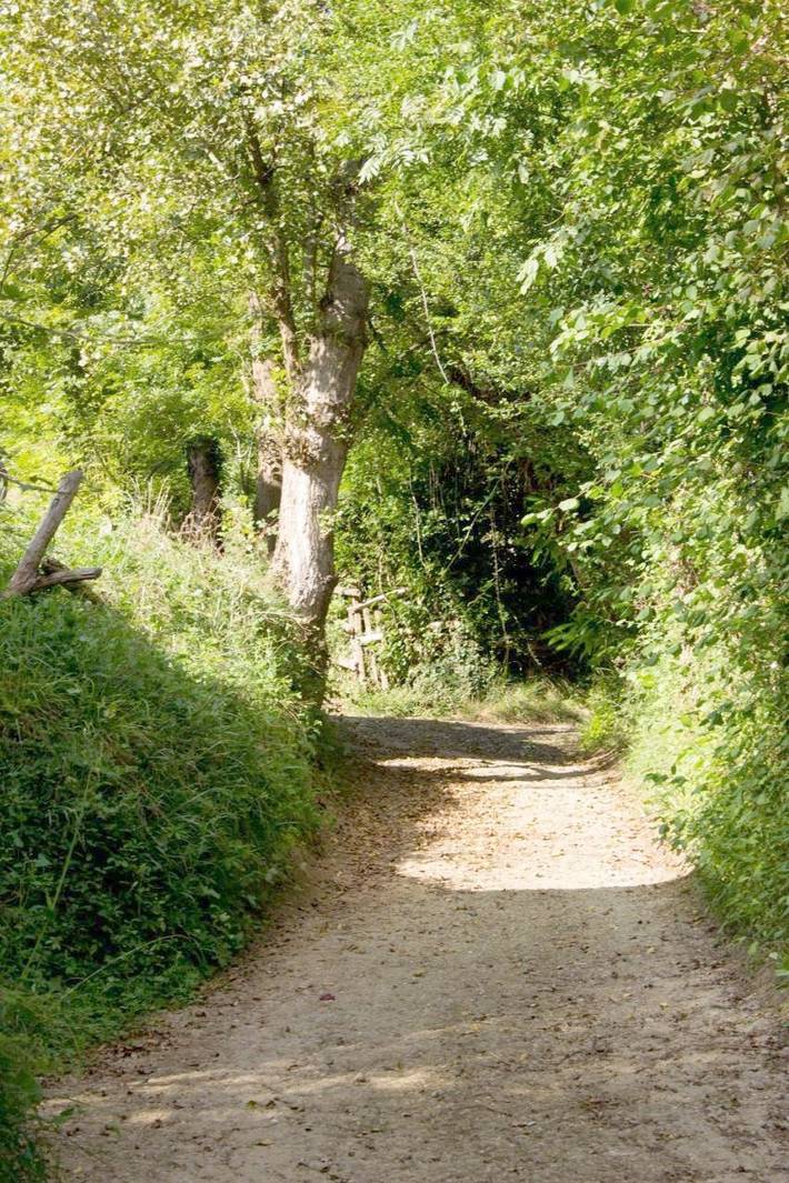 Hotel para 2 personas, con terraza y vistas en Comarca del Caudal - 4