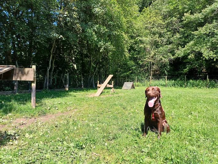 Wohnwagen für 6 Personen, mit Terrasse in Deutschland - 4
