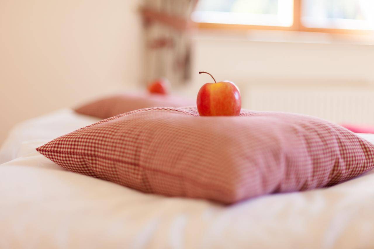 Fichtenapartment in Bad Kleinkirchheim, Nockberge