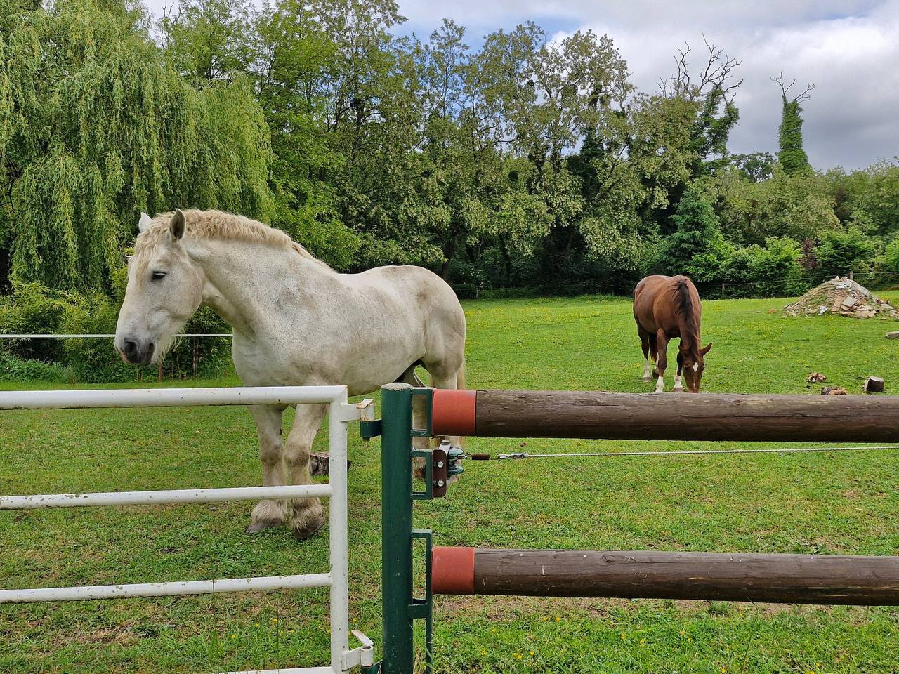 Apartamento entero, Apartamento tranquilo en granja en Decize in Decize, Nièvre