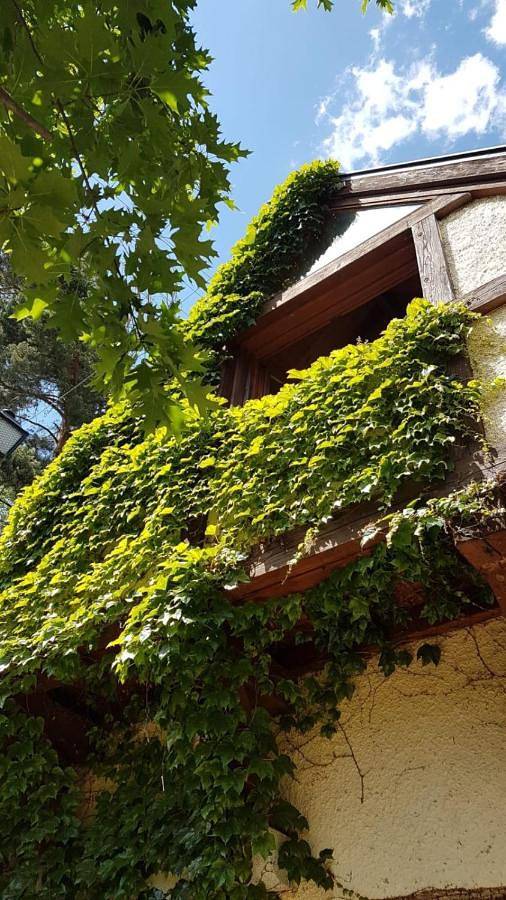 Casa rural para 4 personas, con vistas al lago y vistas además de piscina y jardín, Se admiten mascotas en Puerto de Navacerrada - 4