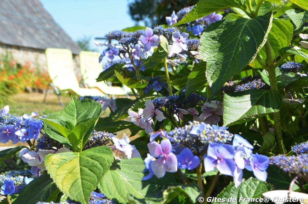Le gite Ty-Fanny in Peumerit, Côte de Cornouaille
