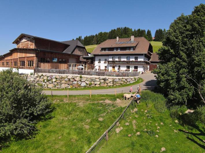 Ferienwohnung für 4 Personen, mit Garten, kinderfreundlich in St. Lambrecht - 2