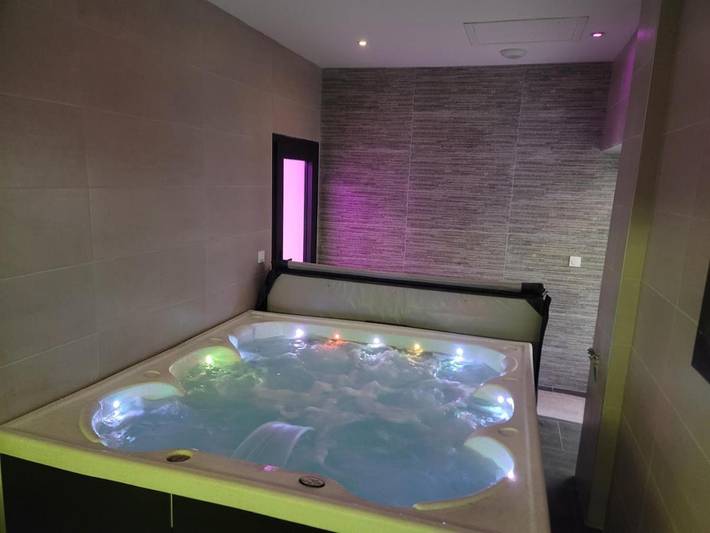 Gîte pour 4 personnes, avec jacuzzi et jardin ainsi que sauna et piscine à Castelsarrasin - 3