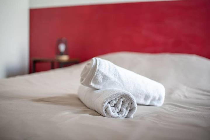 Gîte pour 4 personnes, avec terrasse, animaux acceptés à Blagnac - 3