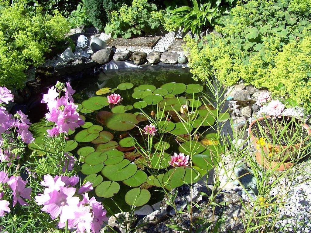 Gebhardt: Die Besondere in Sonthofen, Bayerisch Schwaben
