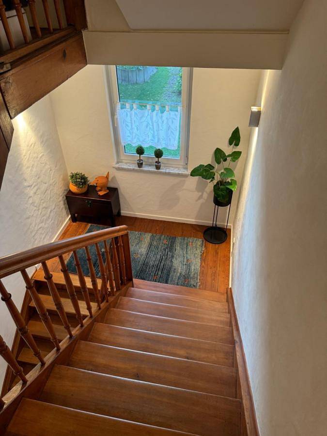 Ferienwohnung für 4 Personen, mit Ausblick in Waldshut-Tiengen - 3