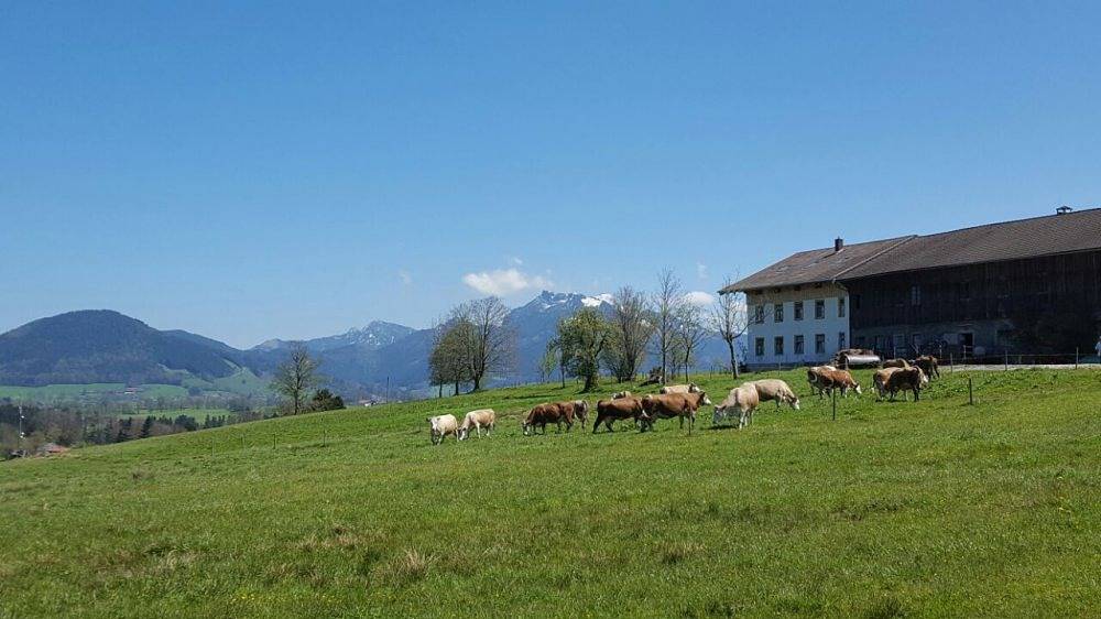 Ganze Wohnung, Biohof Unterstadl - Wendelstein in Fischbachau, Bayerische Alpen