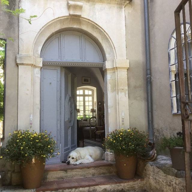 Le petit Figuier - Chambre Rose in La Roque-d'Anthéron, Région d'Aix-en-Provence