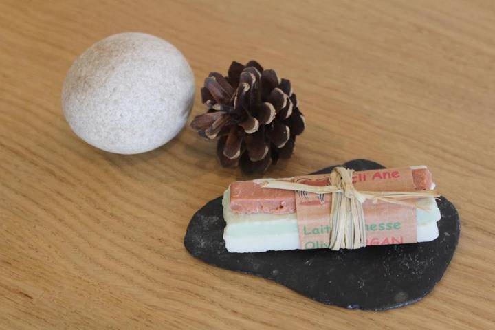 Gîte pour 3 personnes, avec jardin, animaux acceptés à Autrans - 2