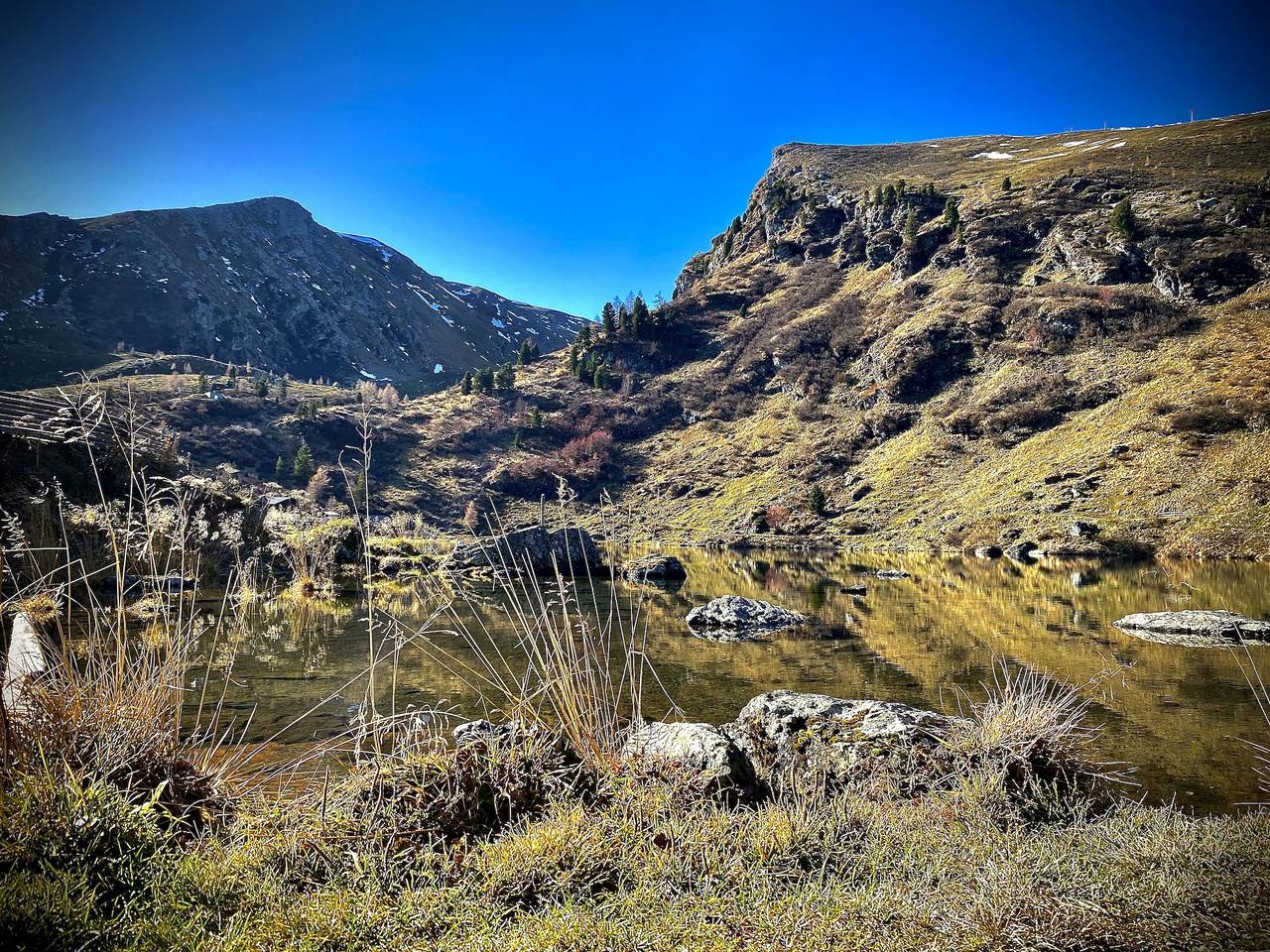 Stella in Reichenau (Austria), Nockberge